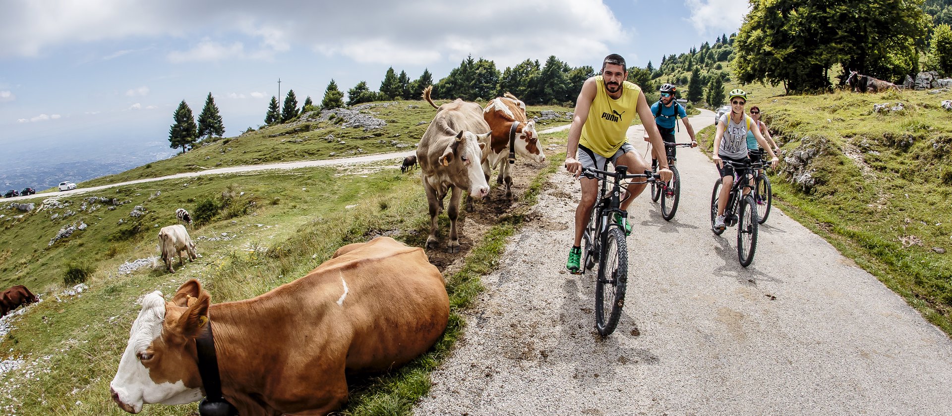 svaga asiago 2017 196 n2